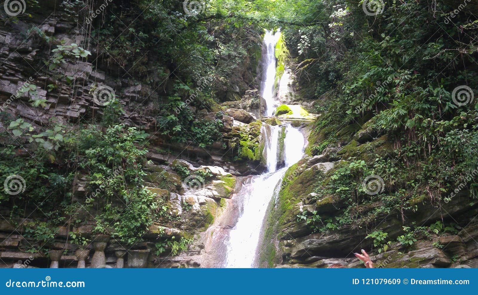 beautiful falls in xilitla