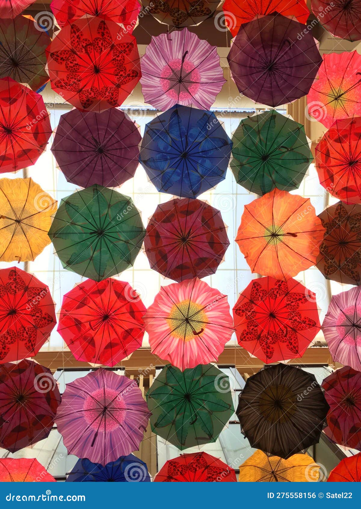 Beautiful Fancy Umbrellas Hung from the Ceiling Editorial Photo - Image ...