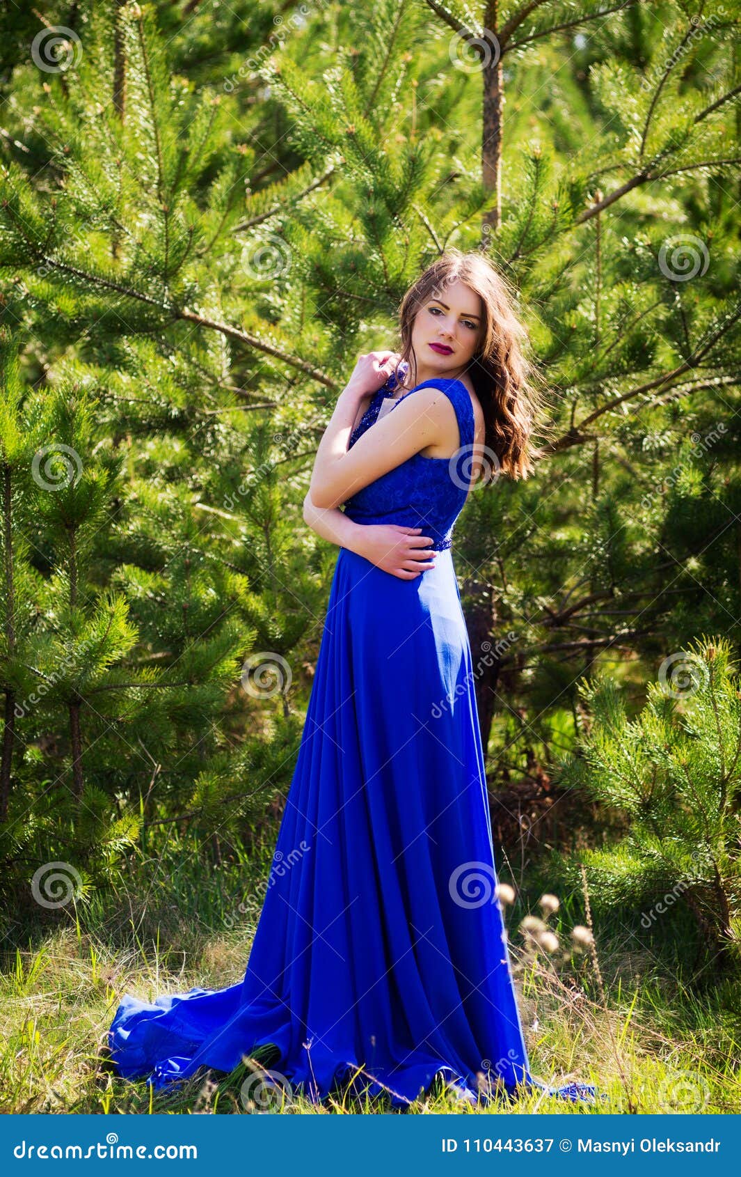 Beautiful Fashion Model in a Dress in a Green Park in the Summer . Blue ...