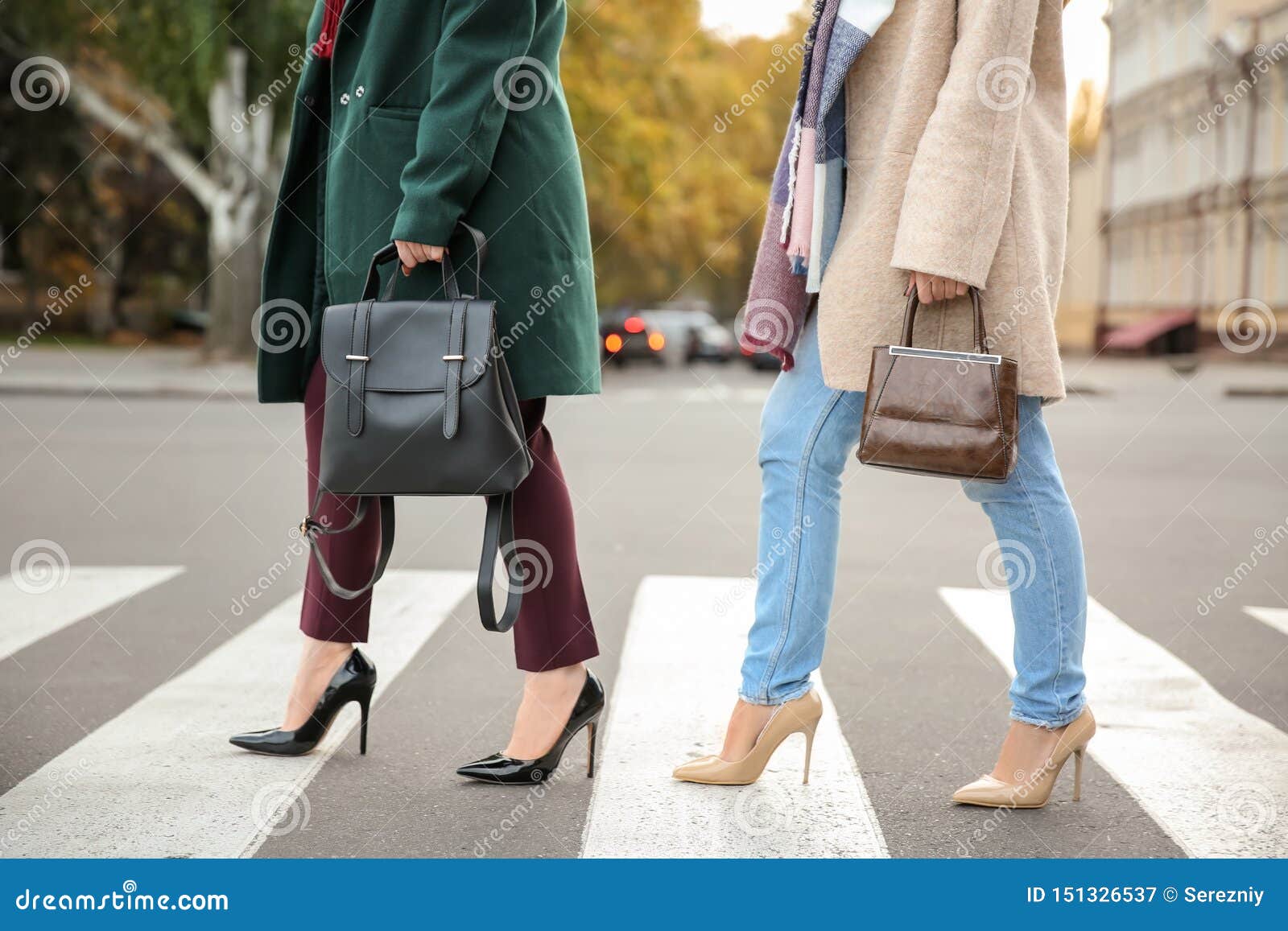 Beautiful Fashionable Women Crossing Road Stock Image - Image of ...