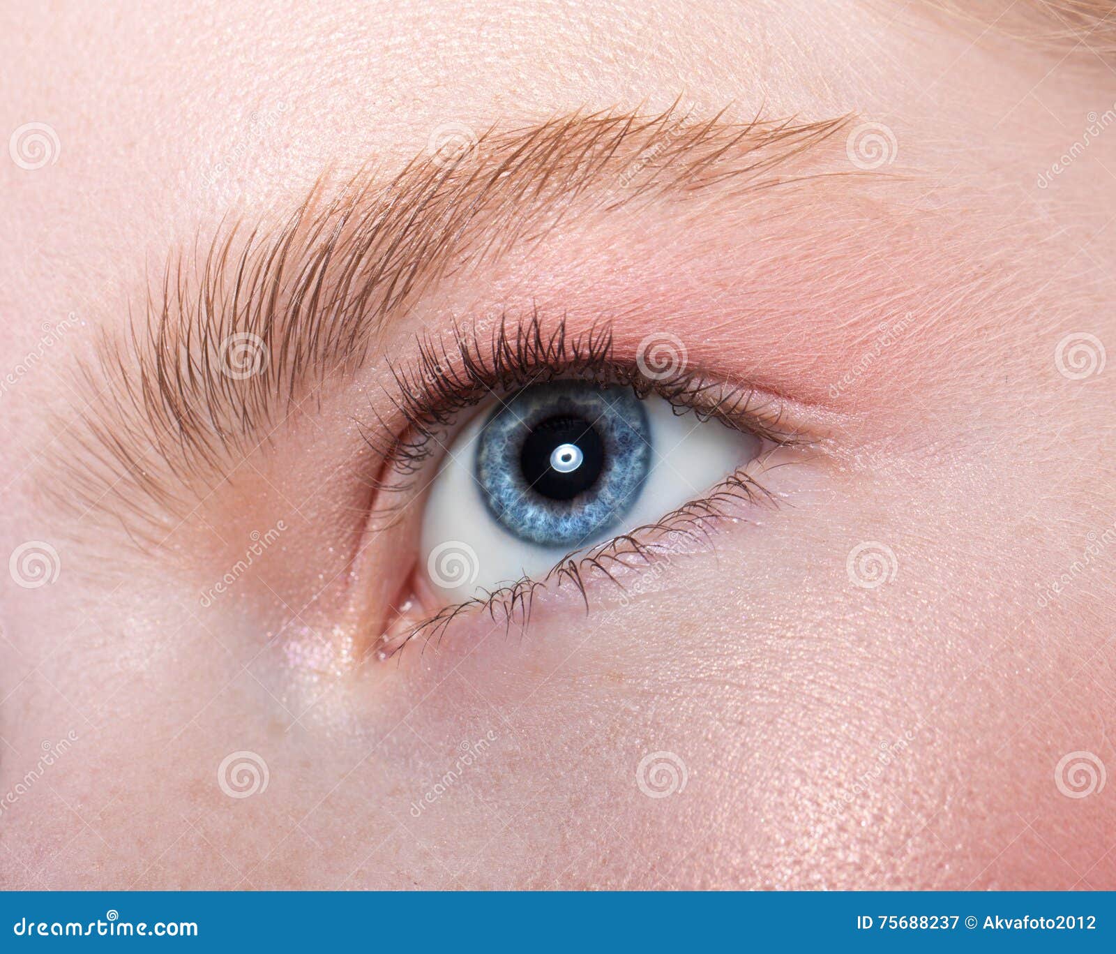 Beautiful female eye stock image. Image of pupil, grooming 75688237