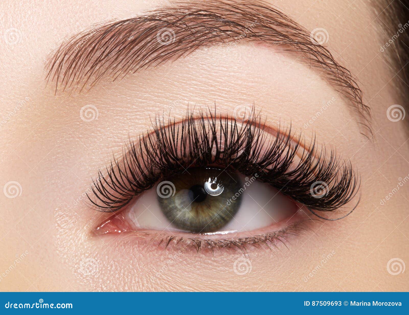 beautiful female eye with extreme long eyelashes, black liner makeup. perfect make-up, long lashes. closeup fashion eyes