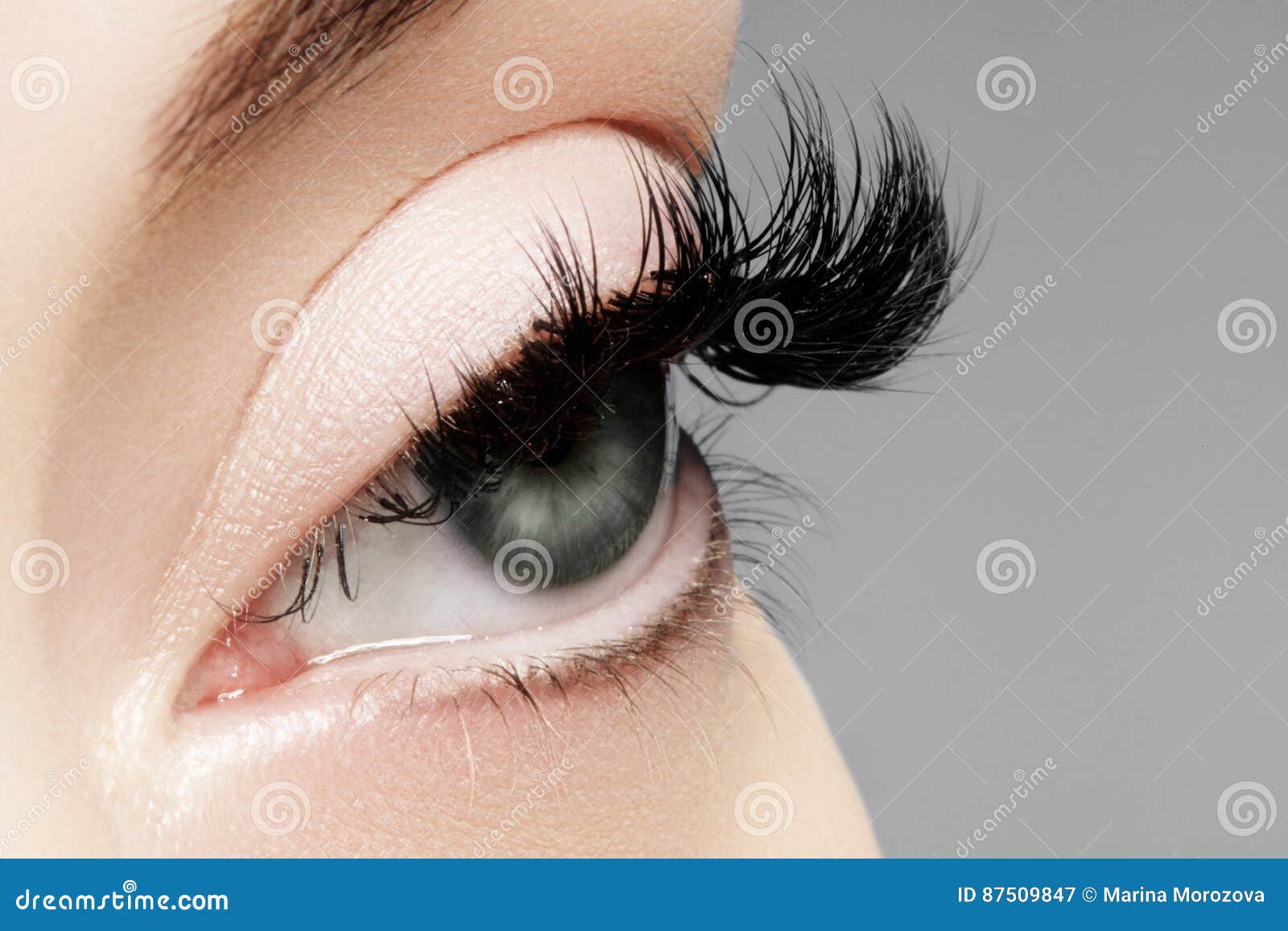 Beautiful Female Eye With Extreme Long Eyelashes Black Liner