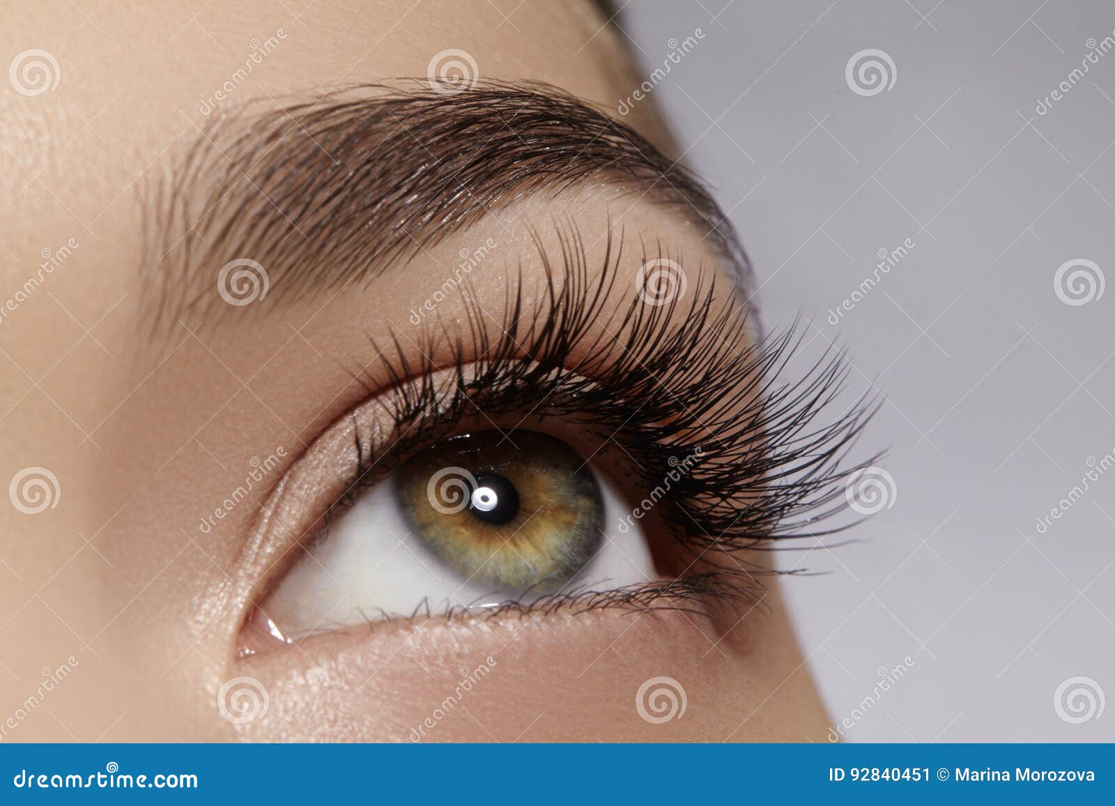 beautiful female eye with extreme long eyelashes, black liner makeup. perfect make-up, long lashes. closeup fashion eyes