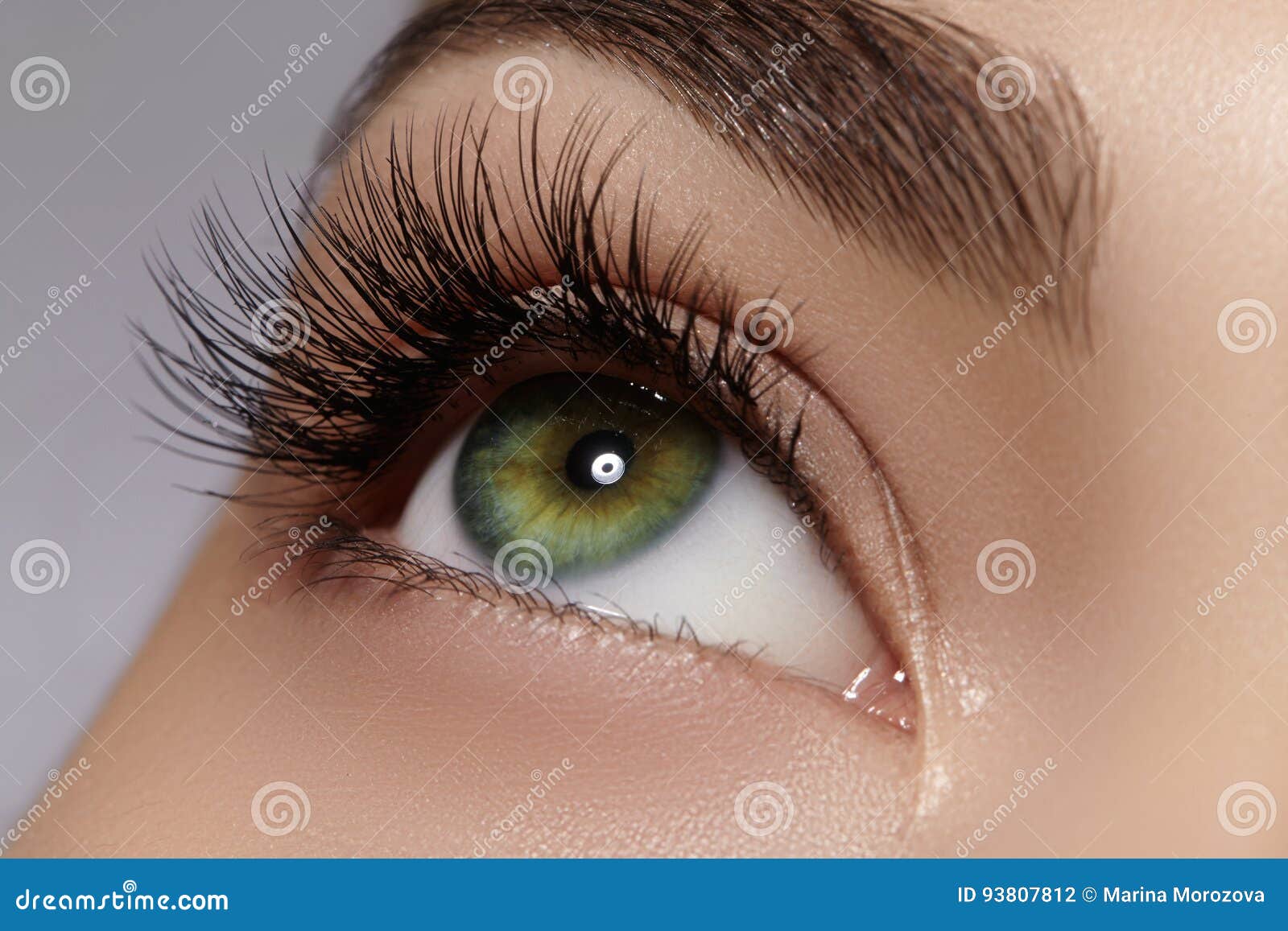 beautiful female eye with extreme long eyelashes, black liner makeup. perfect make-up, long lashes. closeup fashion eyes