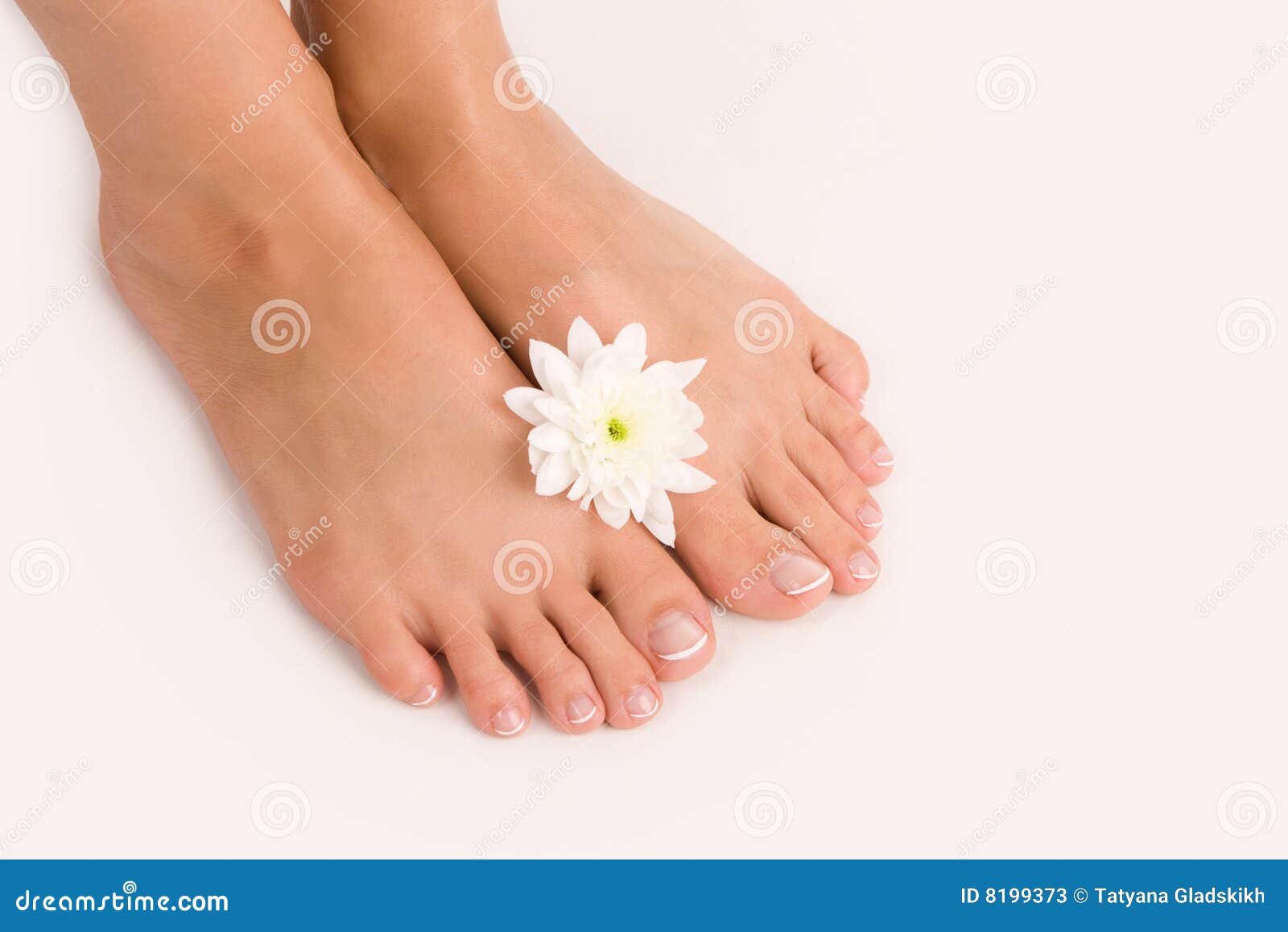 Beautiful female feet stock image. Image of nail, beauty - 8199373