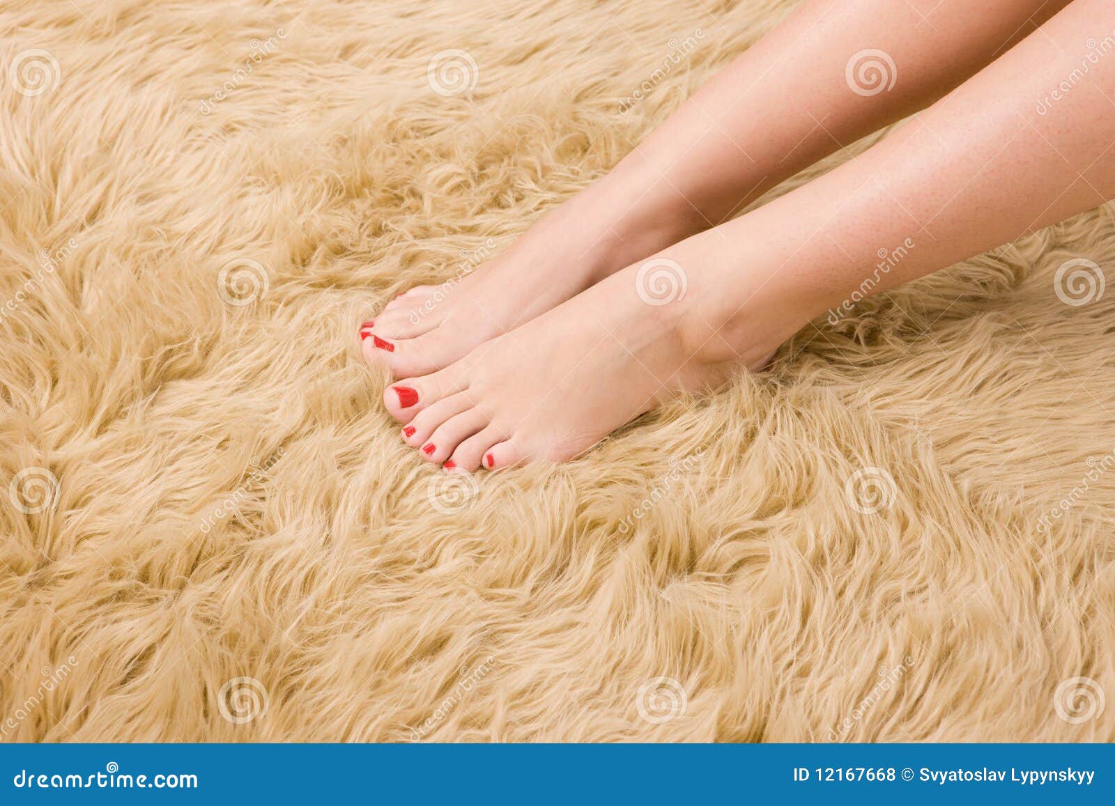 Beautiful Female Feet on Wool Carpet Stock Photo Image of nature