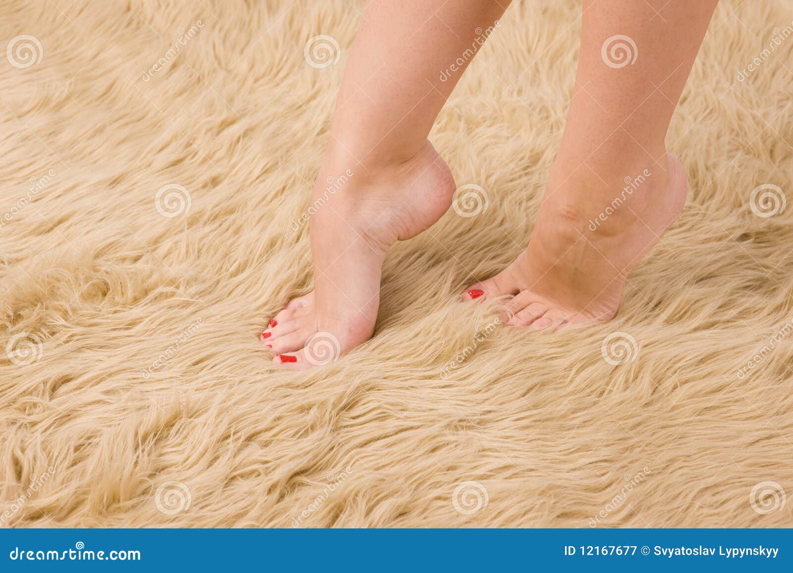 Beautiful Female Feet on Wool Carpet Stock Image Image of fine, girl