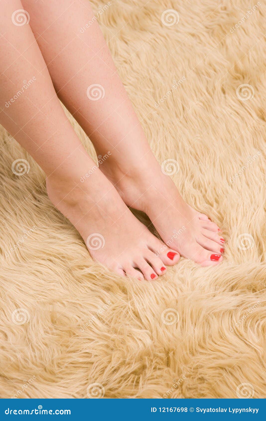 Beautiful Female Feet on Wool Carpet Stock Photo Image of freedom