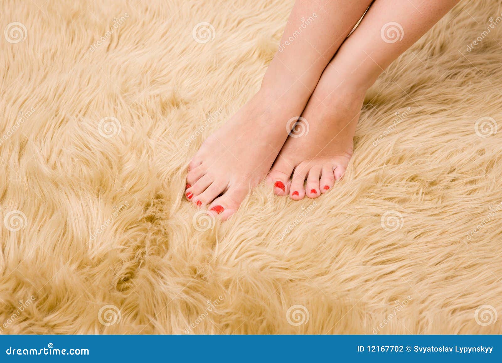 Beautiful Female Feet on Wool Carpet Stock Photo Image of ground