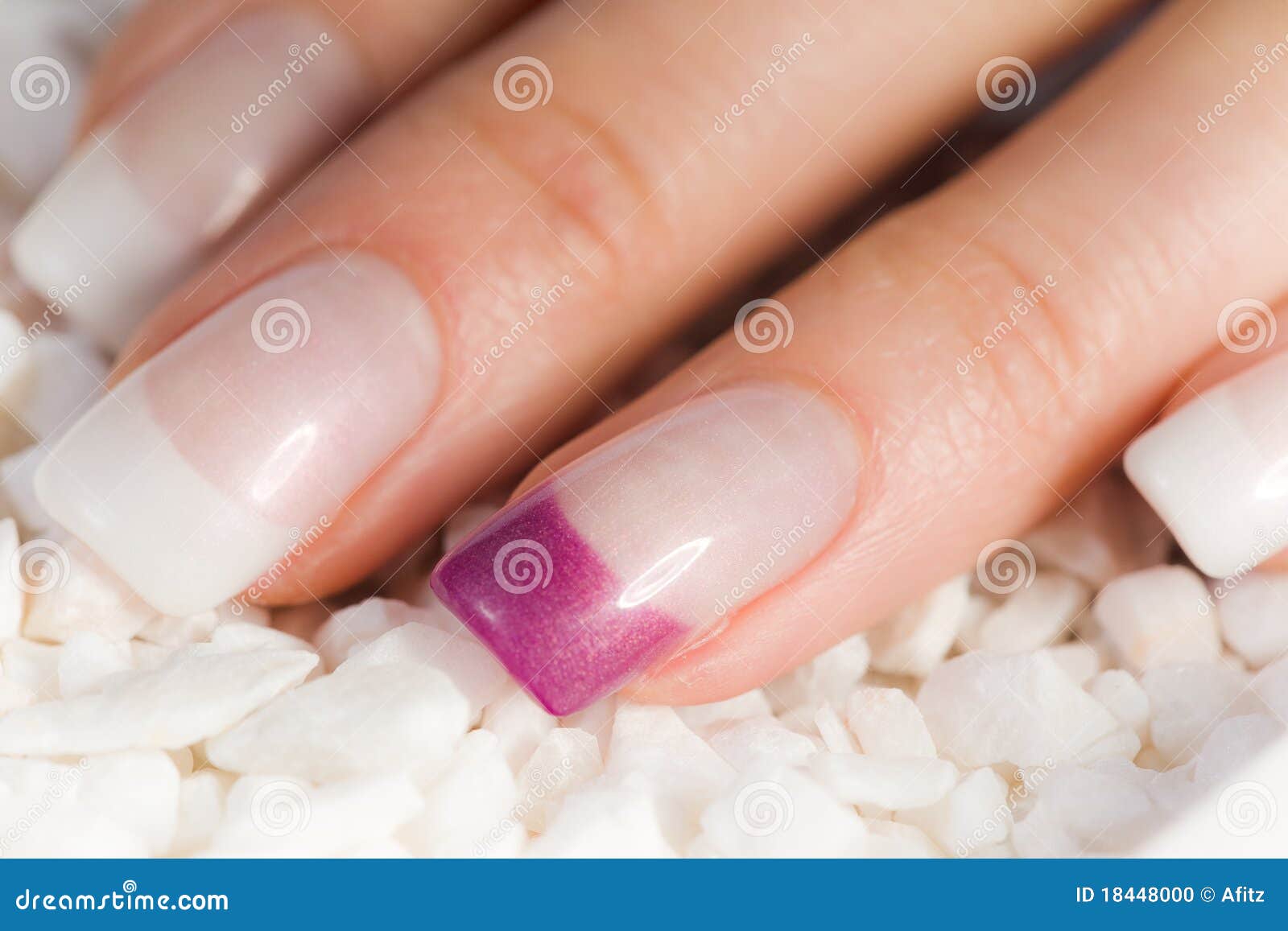 Beautiful Female Fingernails Stock Photo Image of beauty, lifestyle