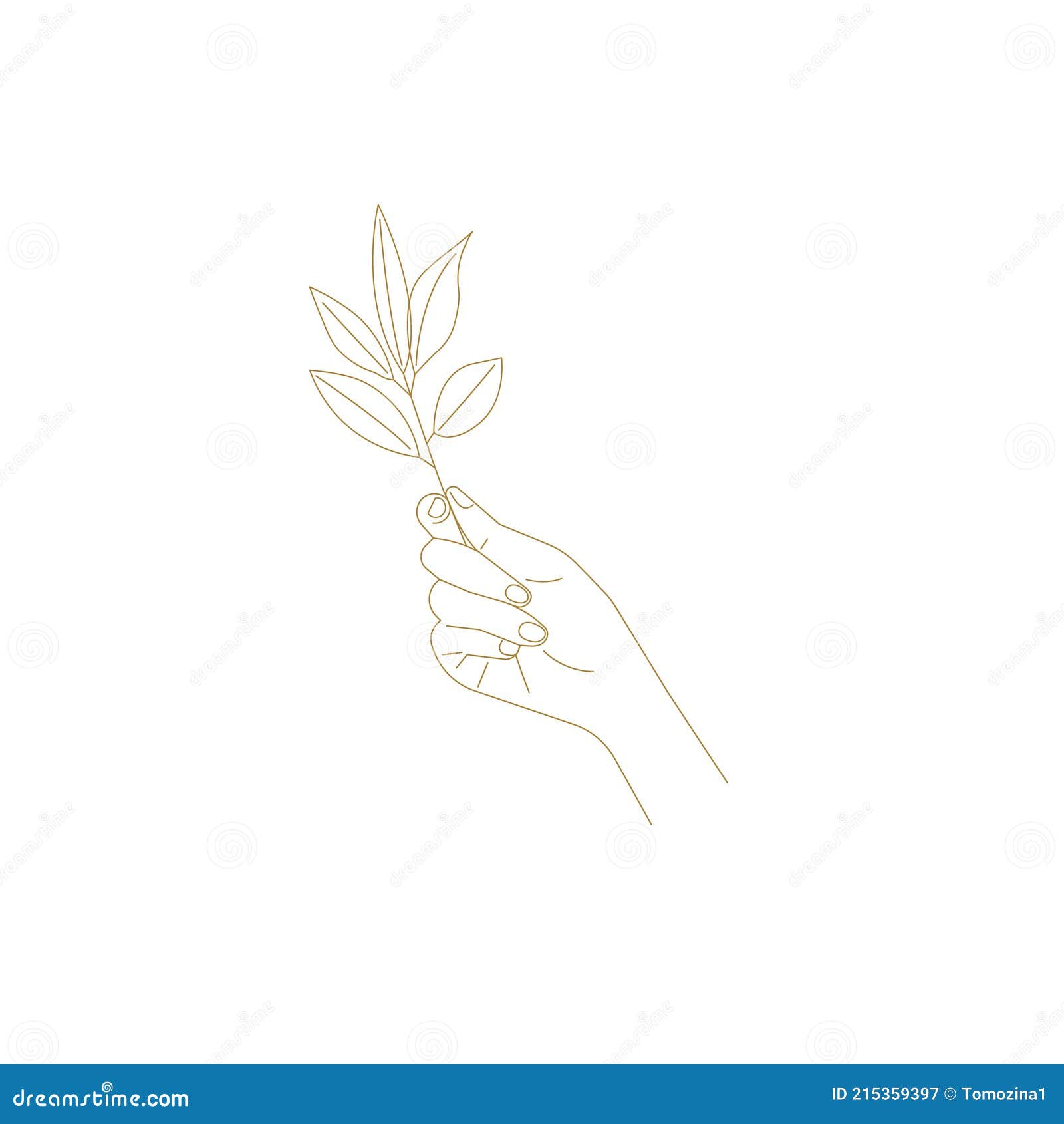 Beautiful Female Graceful Hand Holding Laurel Branch Stock Vector ...