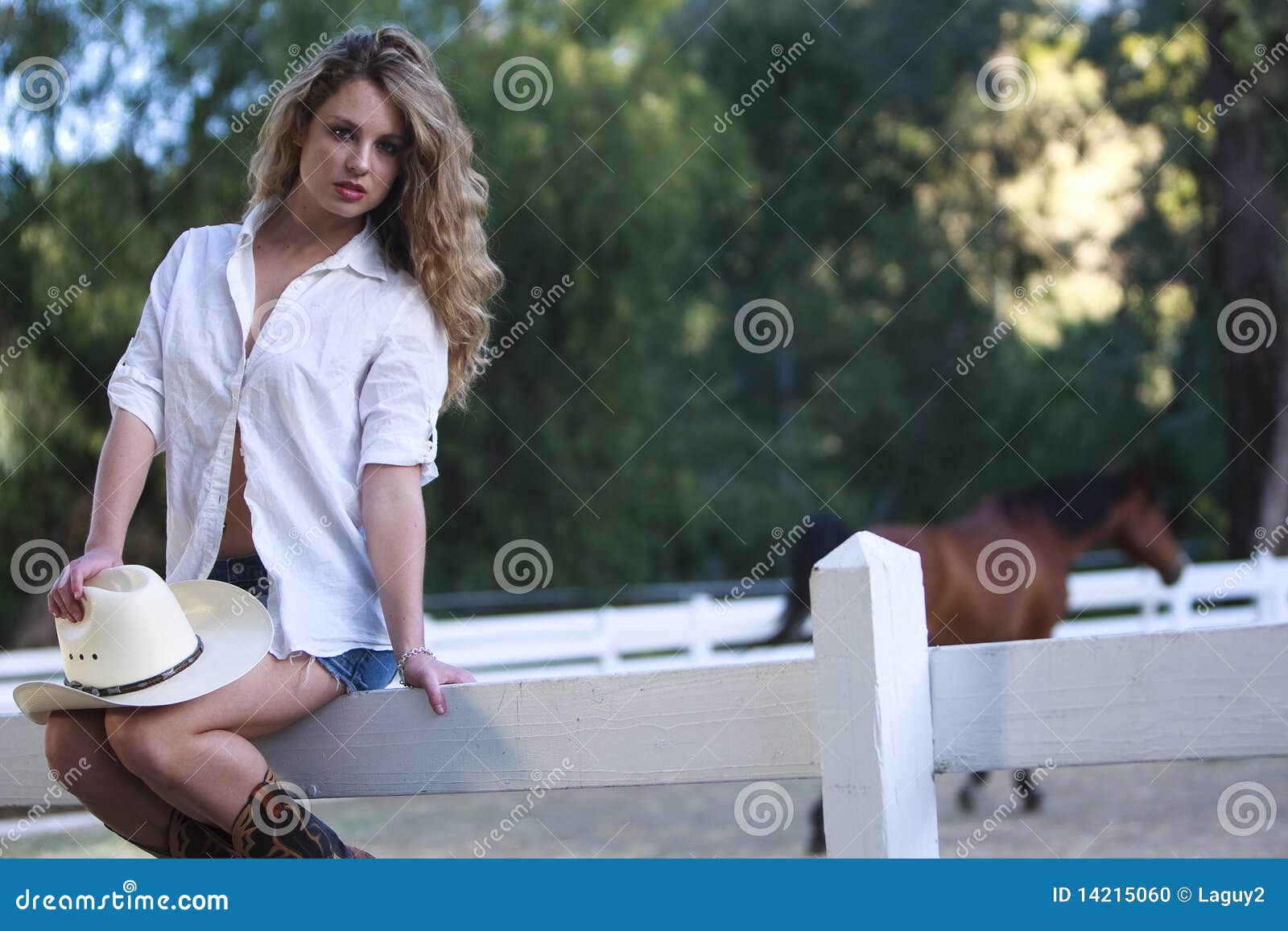 Cowgirl and a horse stock photo. Image of girl, female - 14215060