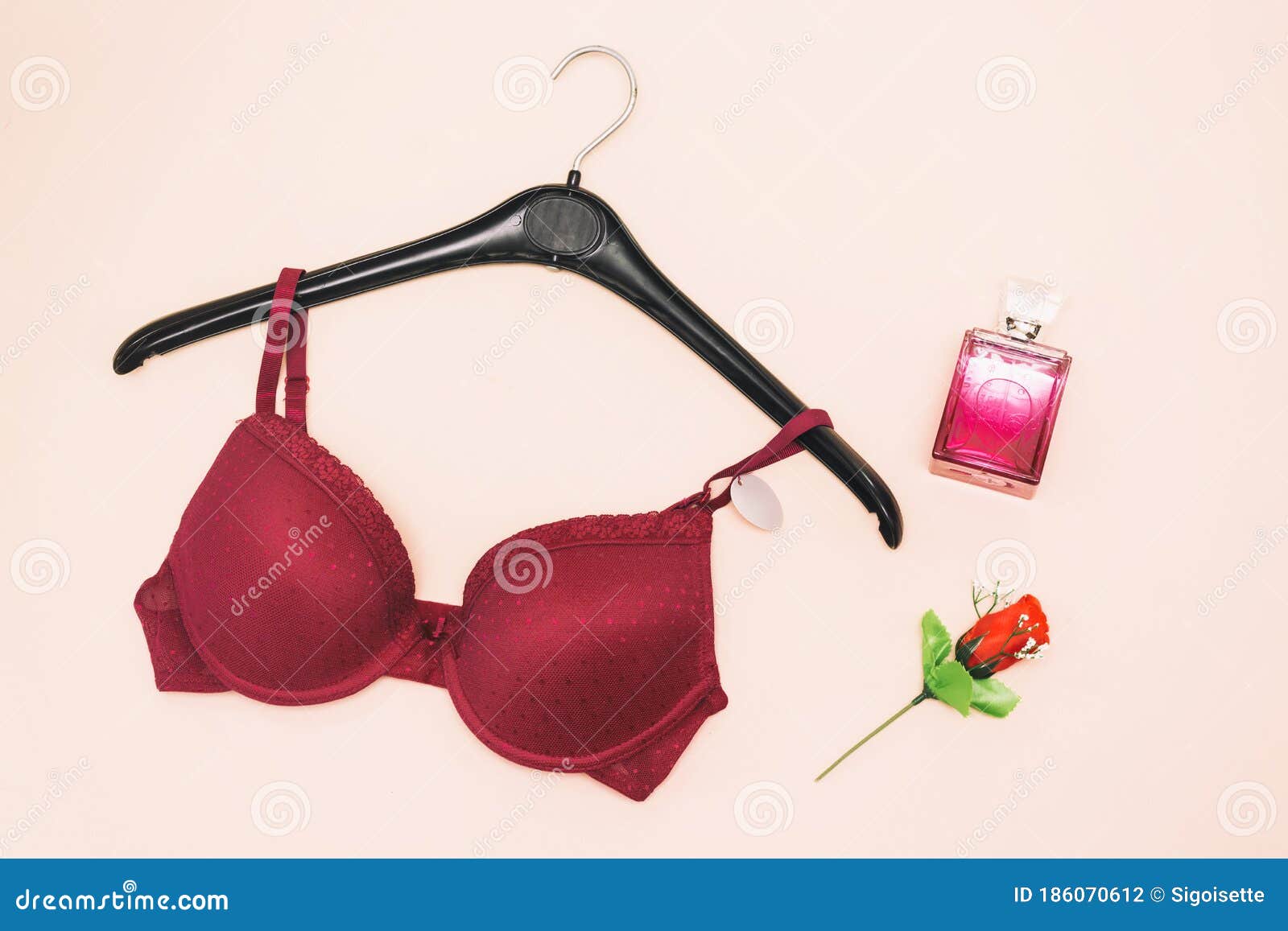 Arrangementbeautybottlebraclothingfashionfemininityflat Stock Photos - Free  & Royalty-Free Stock Photos from Dreamstime