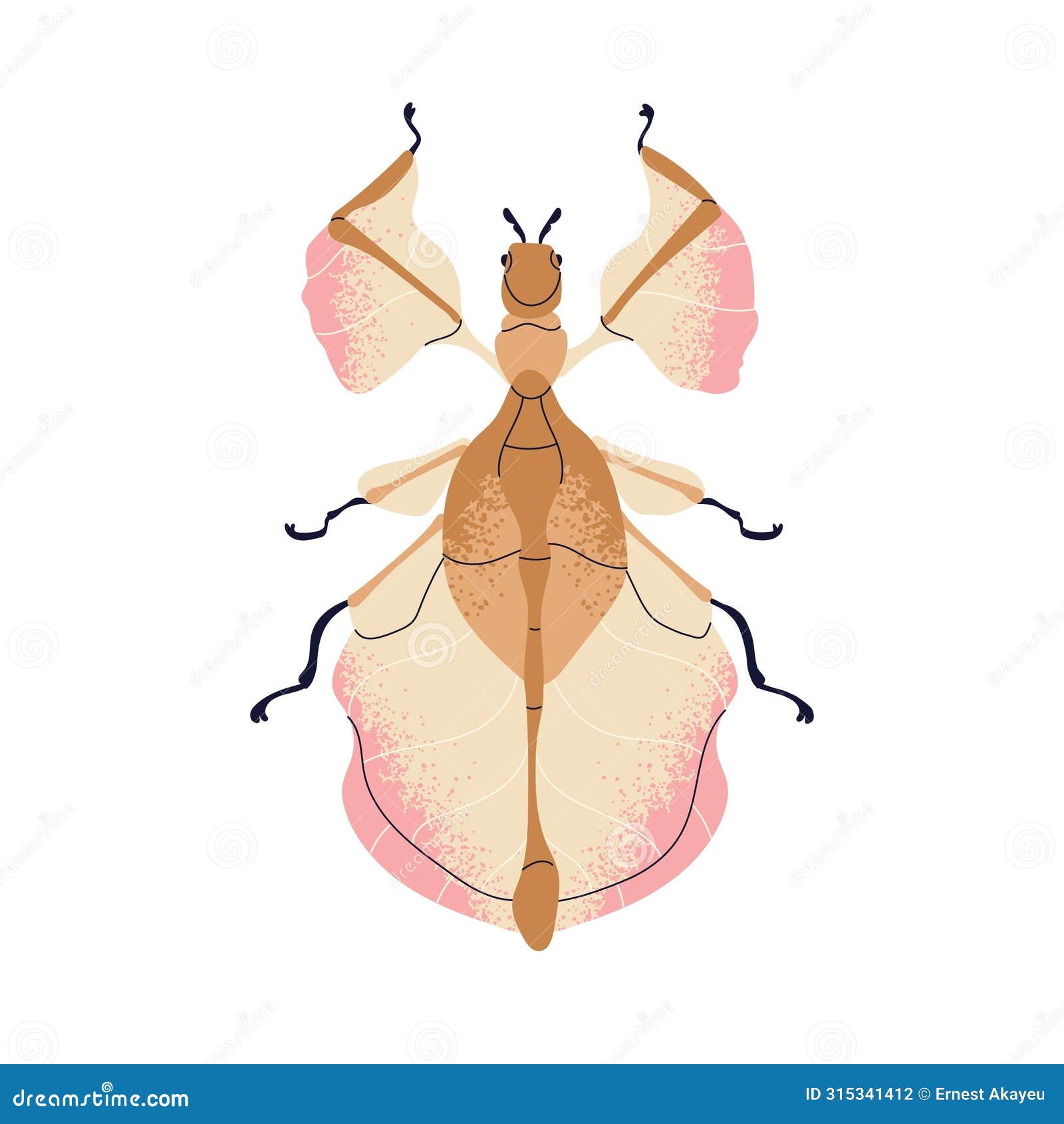beautiful fictional beetle. whimsical bug species. wonderful delicate insect with gentle wings, top view. abstract