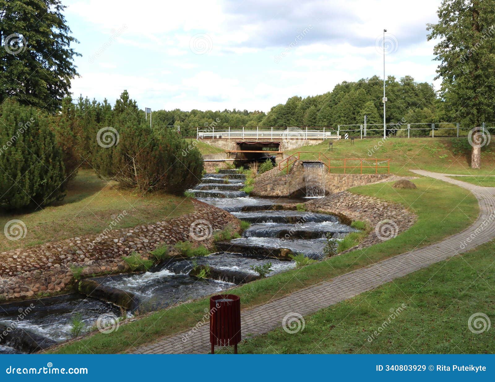 beautiful fish ladder