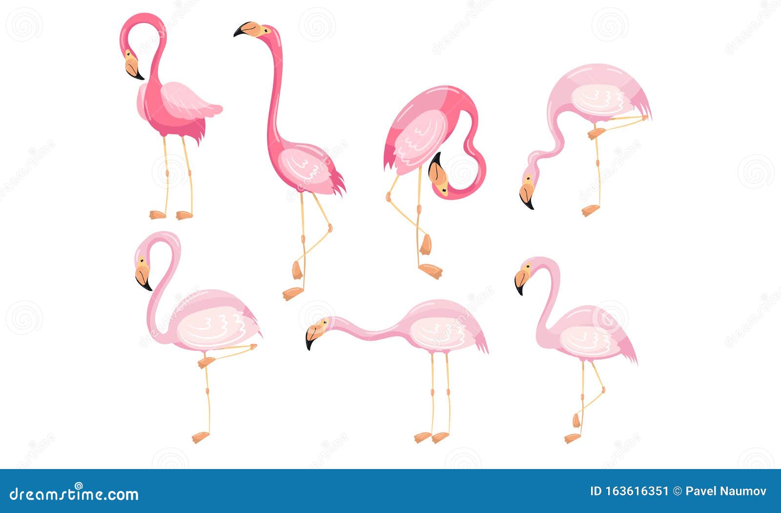 Beautiful Flamingo Vector Set Isolated on White Background Stock Vector ...