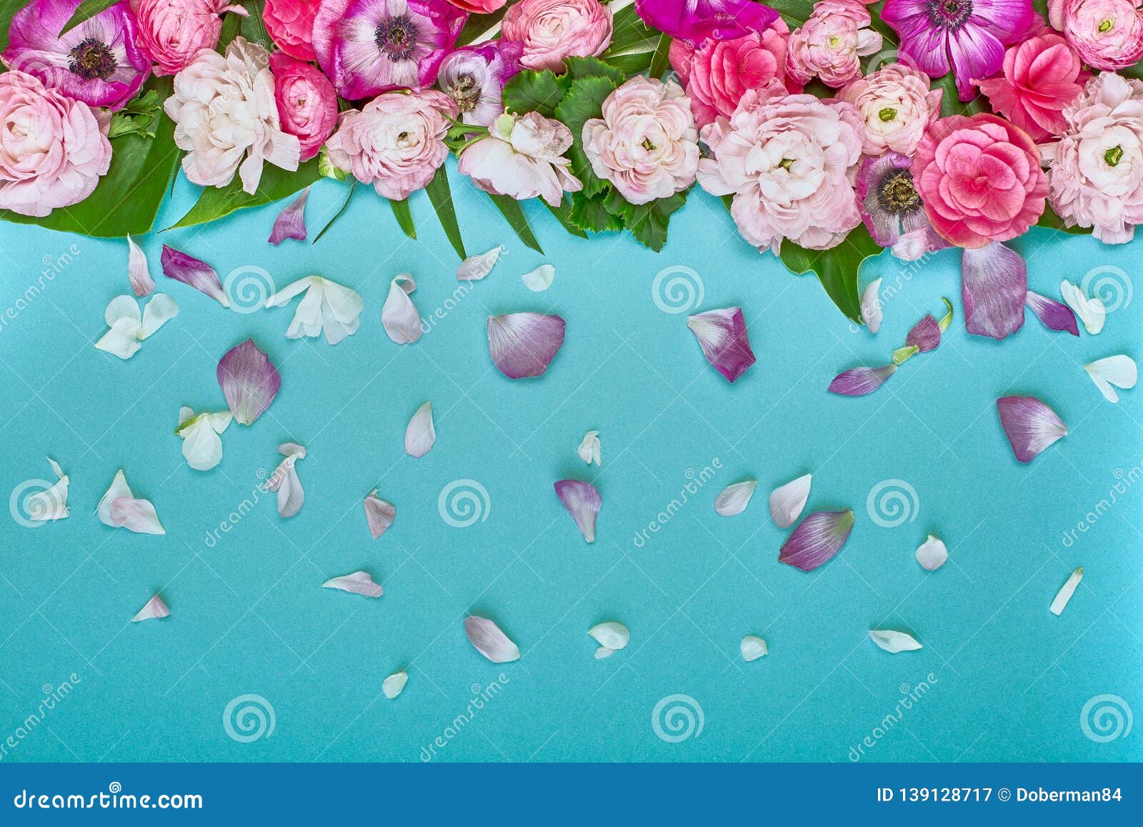 Beautiful Floral Background, Texture, Wallpaper. Flat-lay of Pink Flowers  on Blue Background, Top View, Copy Space Stock Image - Image of blank,  blossom: 139128717