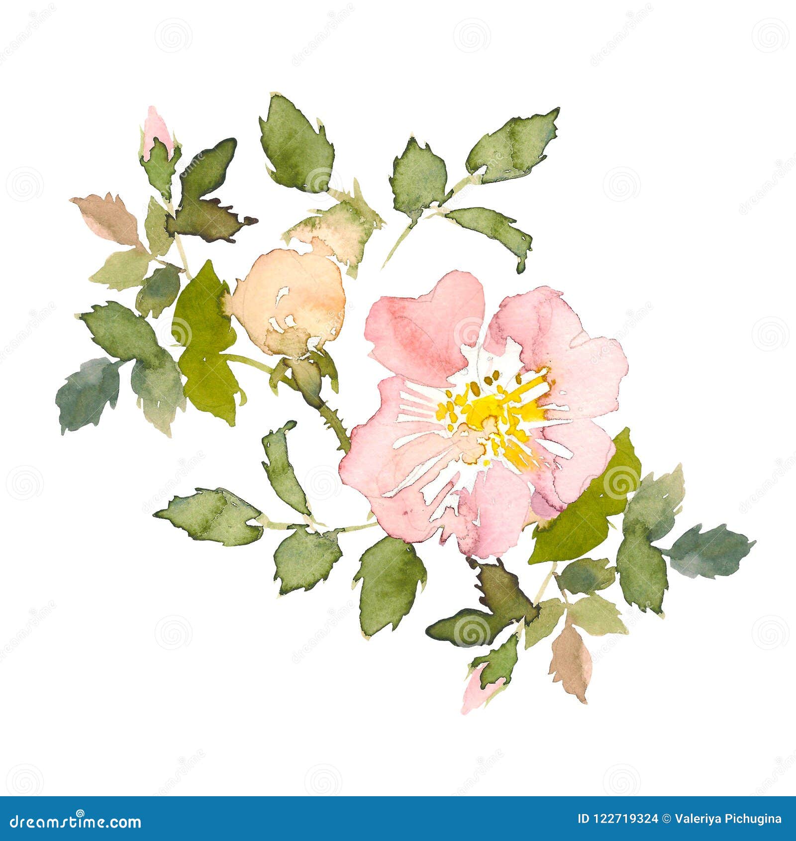 Bouquet with Pink Roses and Green Leaves on the White Background ...