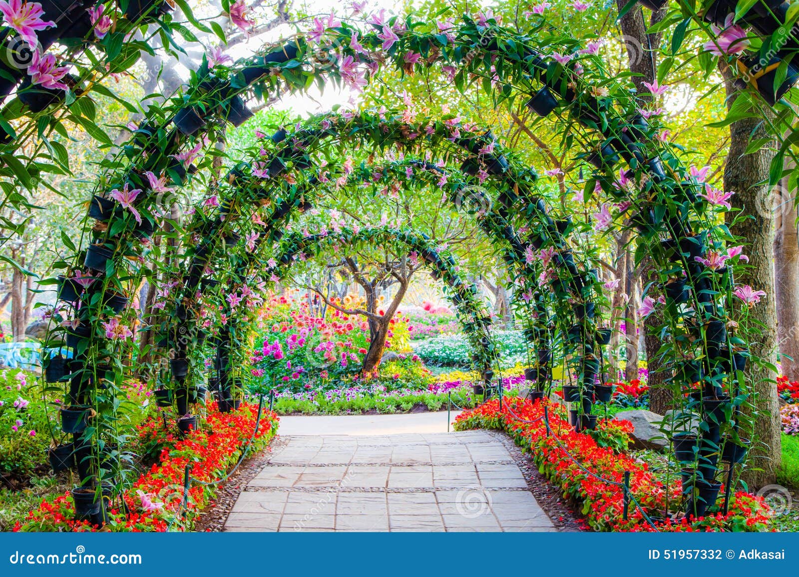 beautiful garden flowers