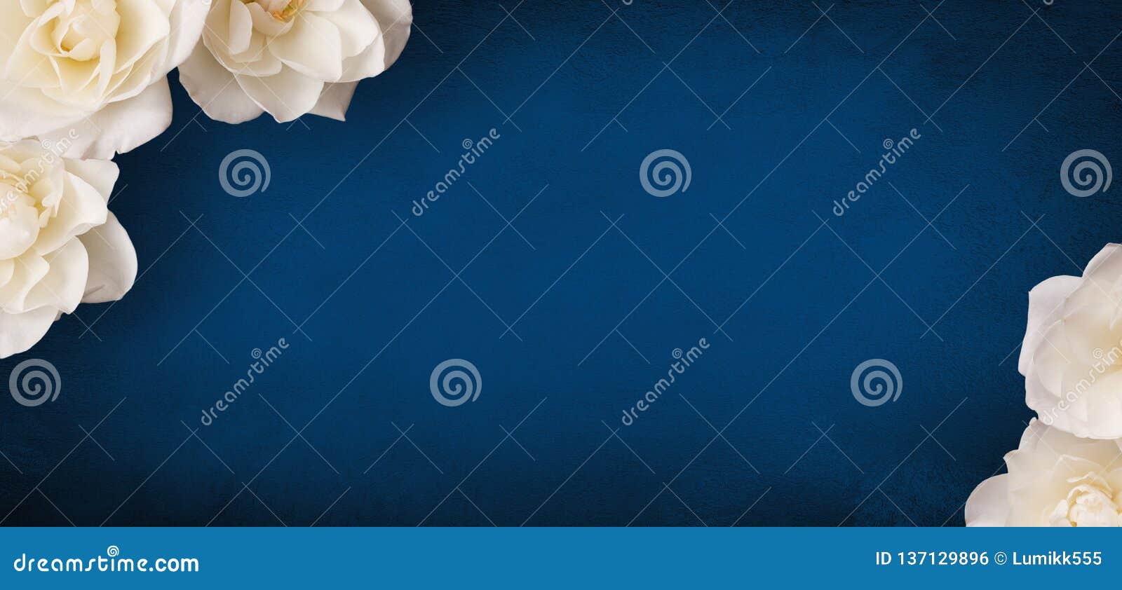 beautiful flower background with copy space for text