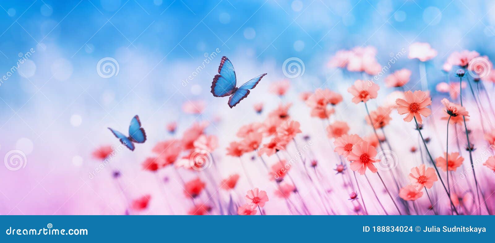 beautiful flower field and flying butterflies on blue sky background. colorful toning of amazing nature landscape with wild plants