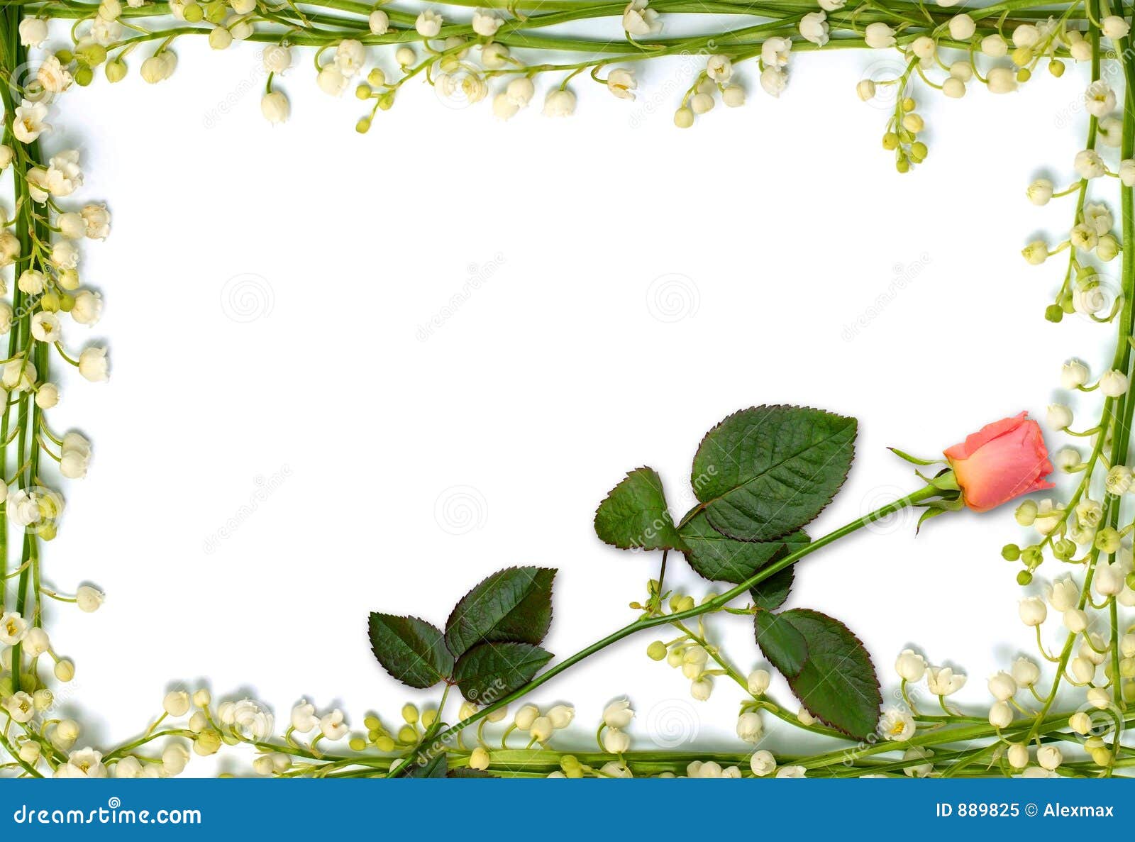 Beautiful Flower Frame with Pink Rose Background Stock Image ...