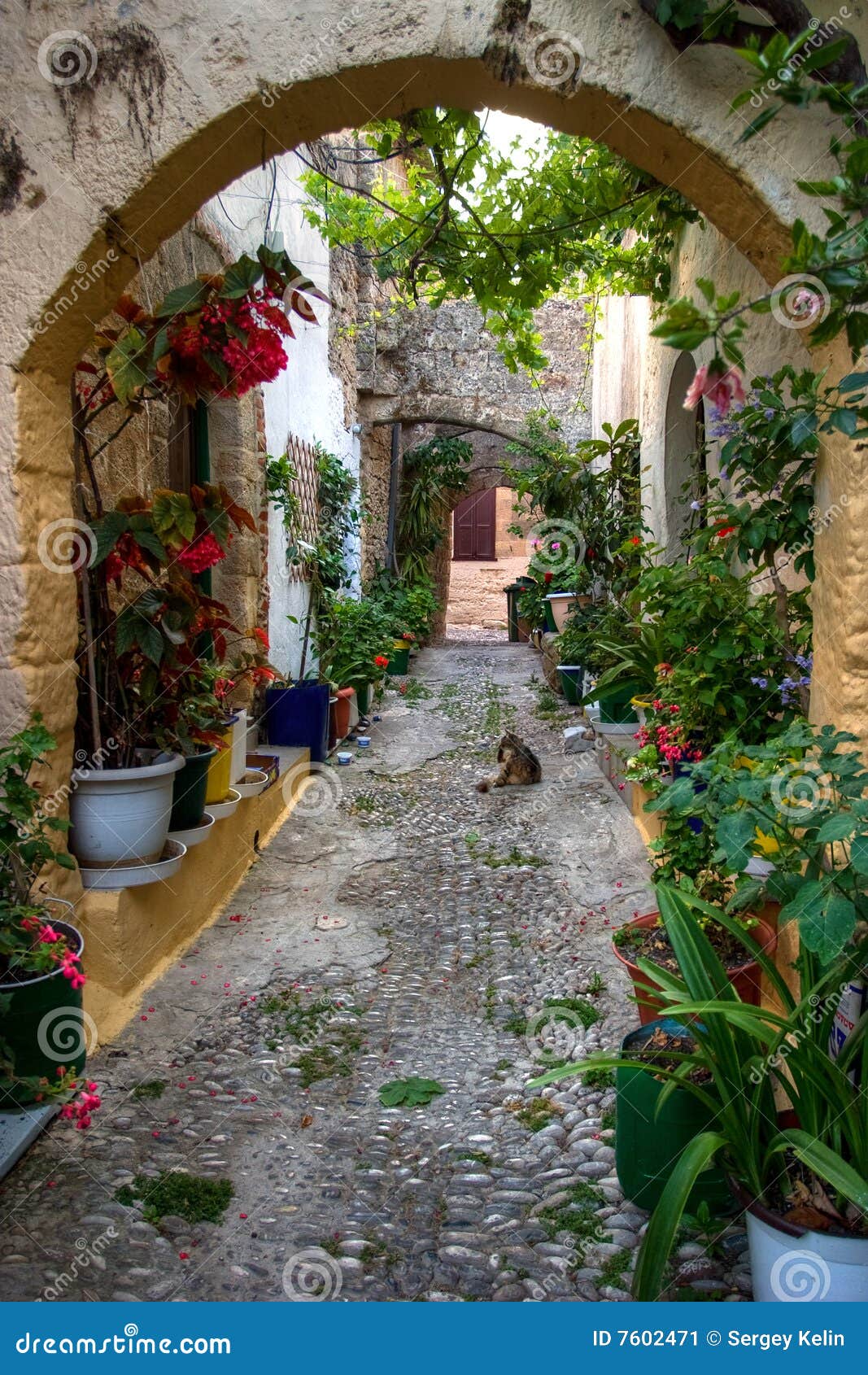 Beautiful Flower Garden Stock Image - Image: 7602471