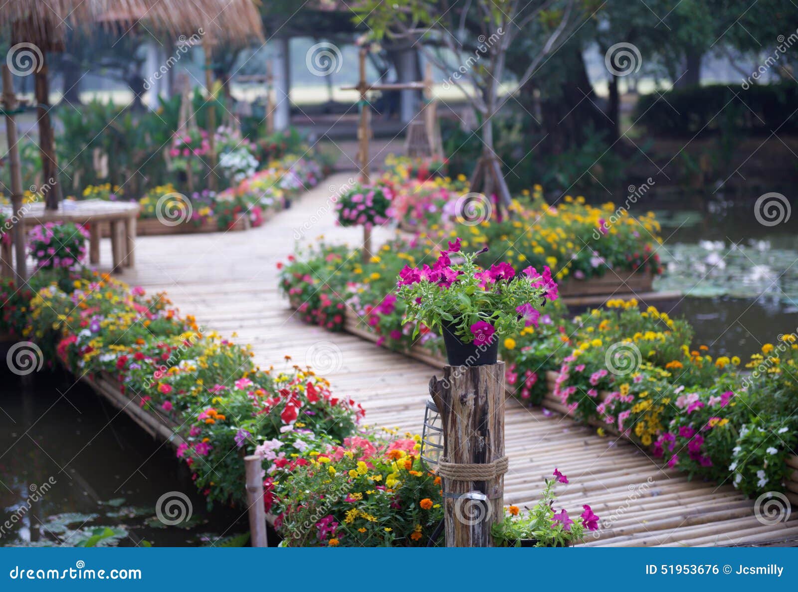 Beautiful Flower Garden With Bamboo Path Stock Photo Beautiful Flower Garden With Bamboo Path Stock Photo