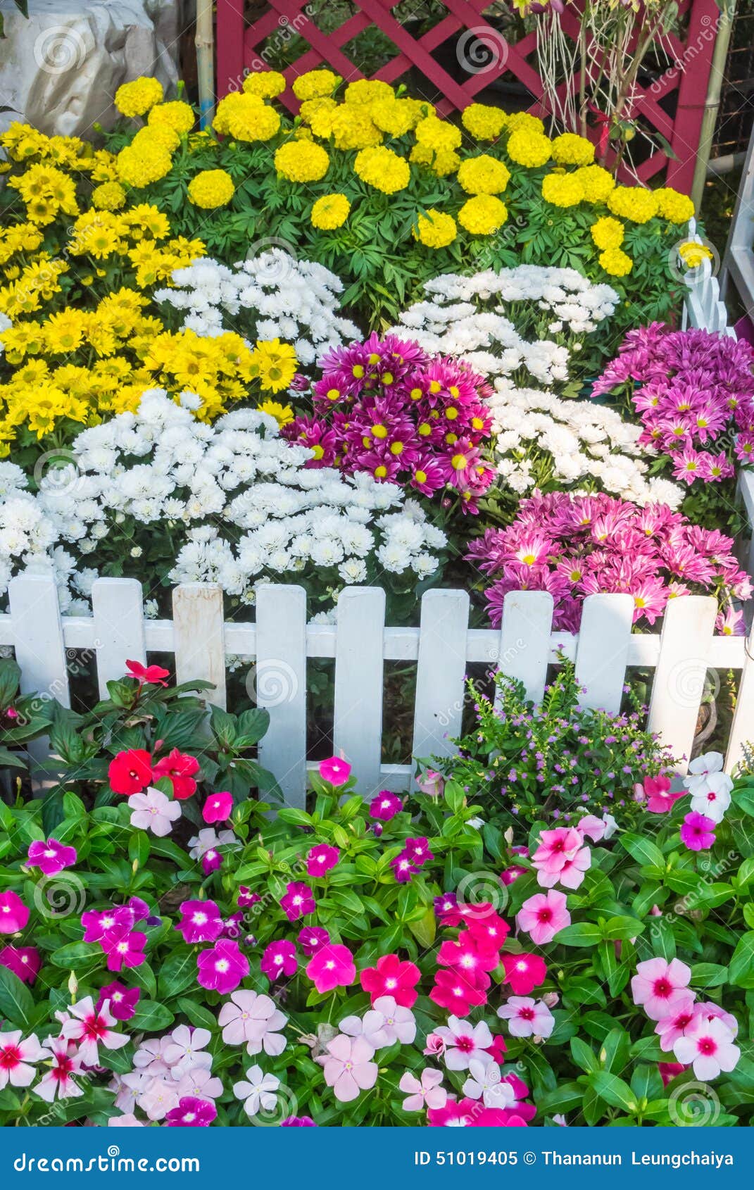 Beautiful flower garden. stock image. Image of garden - 51019405 Beautiful Flower Garden. Stock Image. Image Of Garden - 51019405