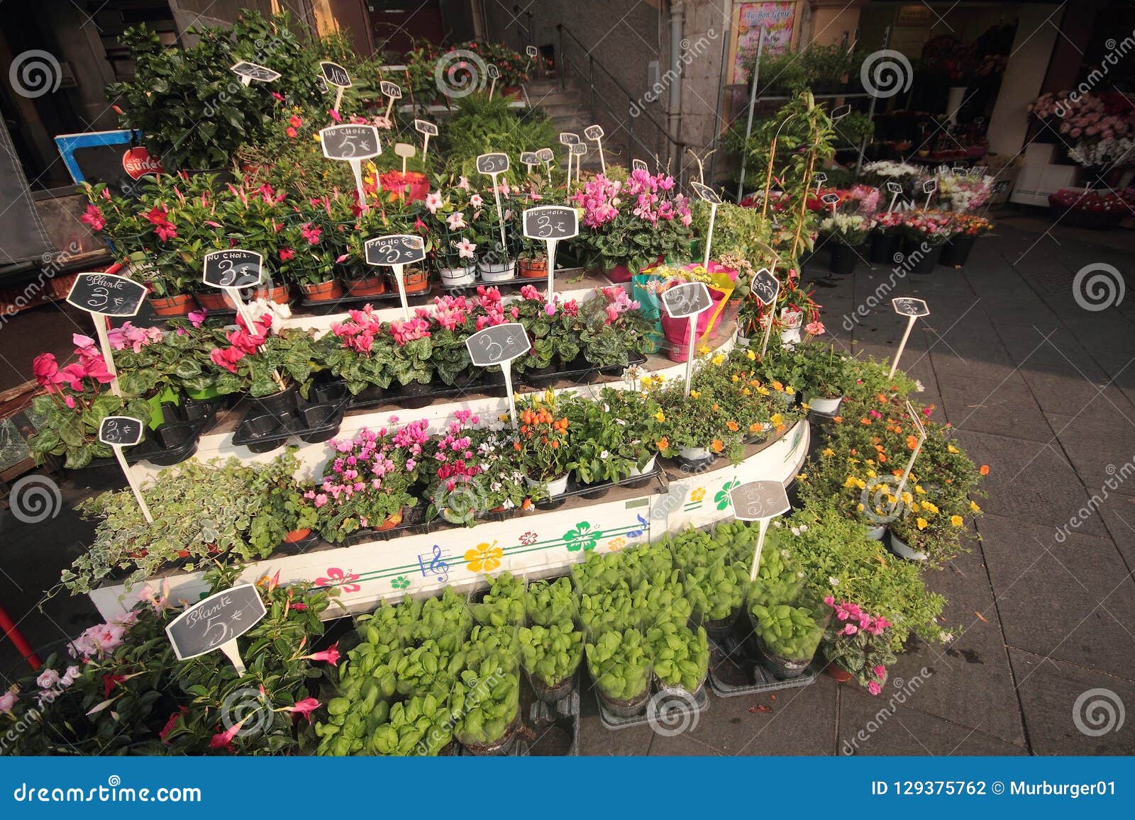 a beautiful flower shop in nice