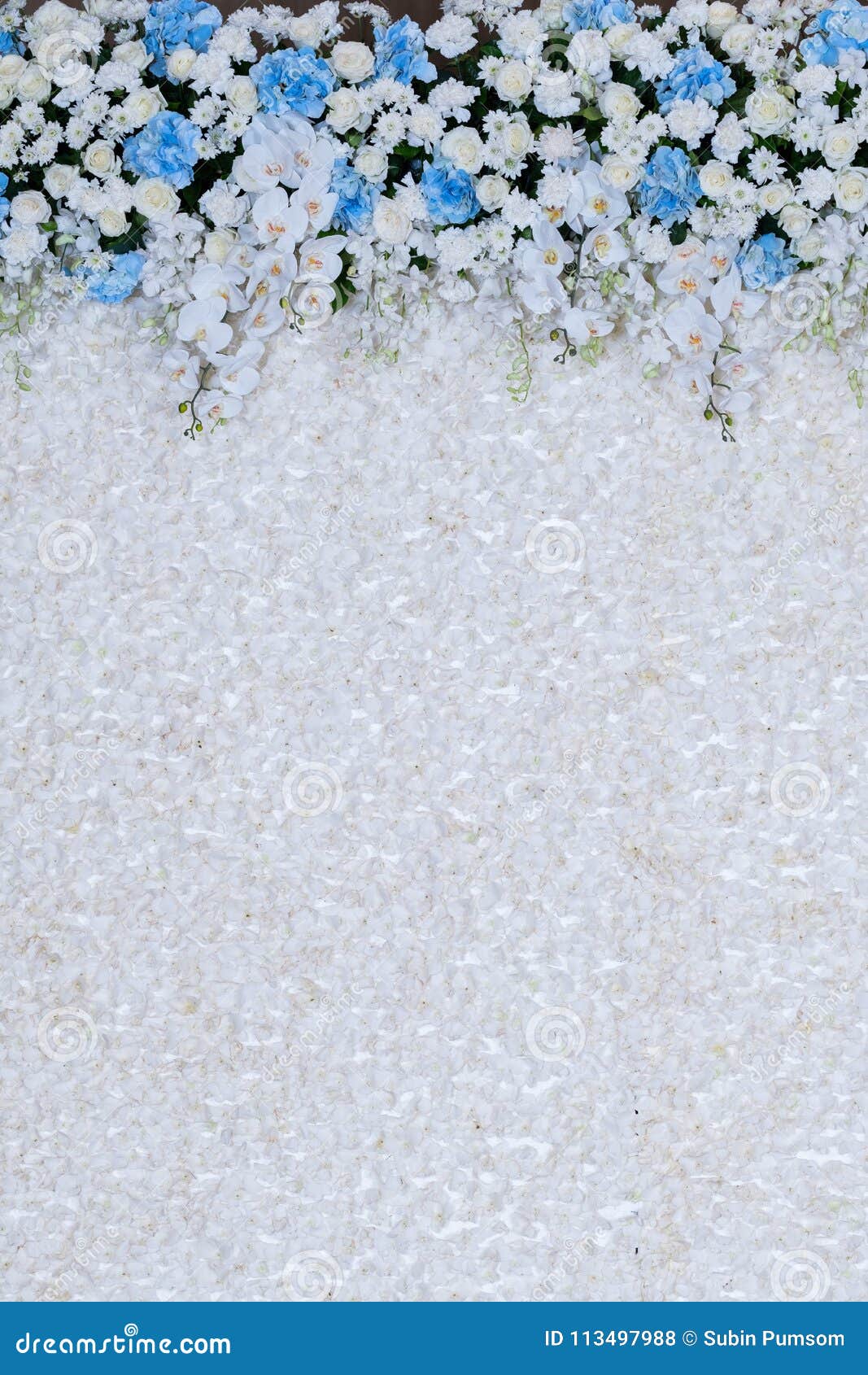 Beautiful Flowers Background for Wedding Stock Photo Image of green