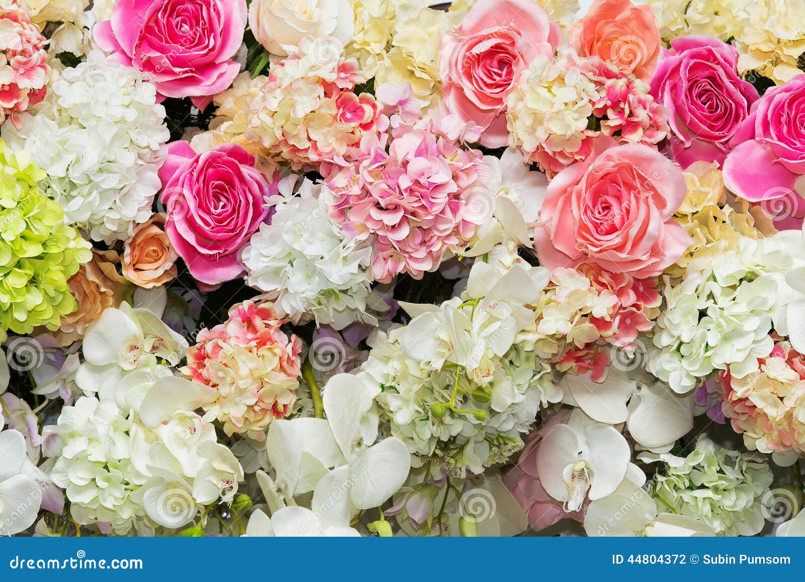 Beautiful Flowers Background for Wedding Stock Photo Image of