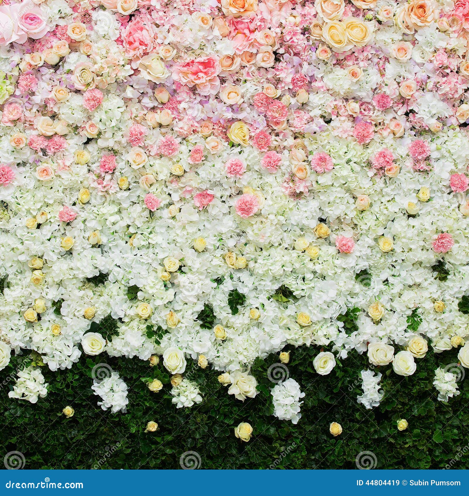 Beautiful Flowers Background for Wedding Stock Image Image of leaf