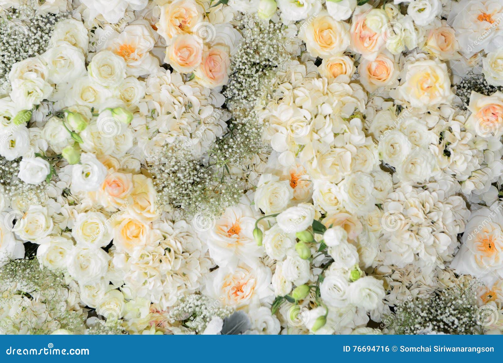 Beautiful Flowers Background for Wedding Stock Photo Image of bouquet