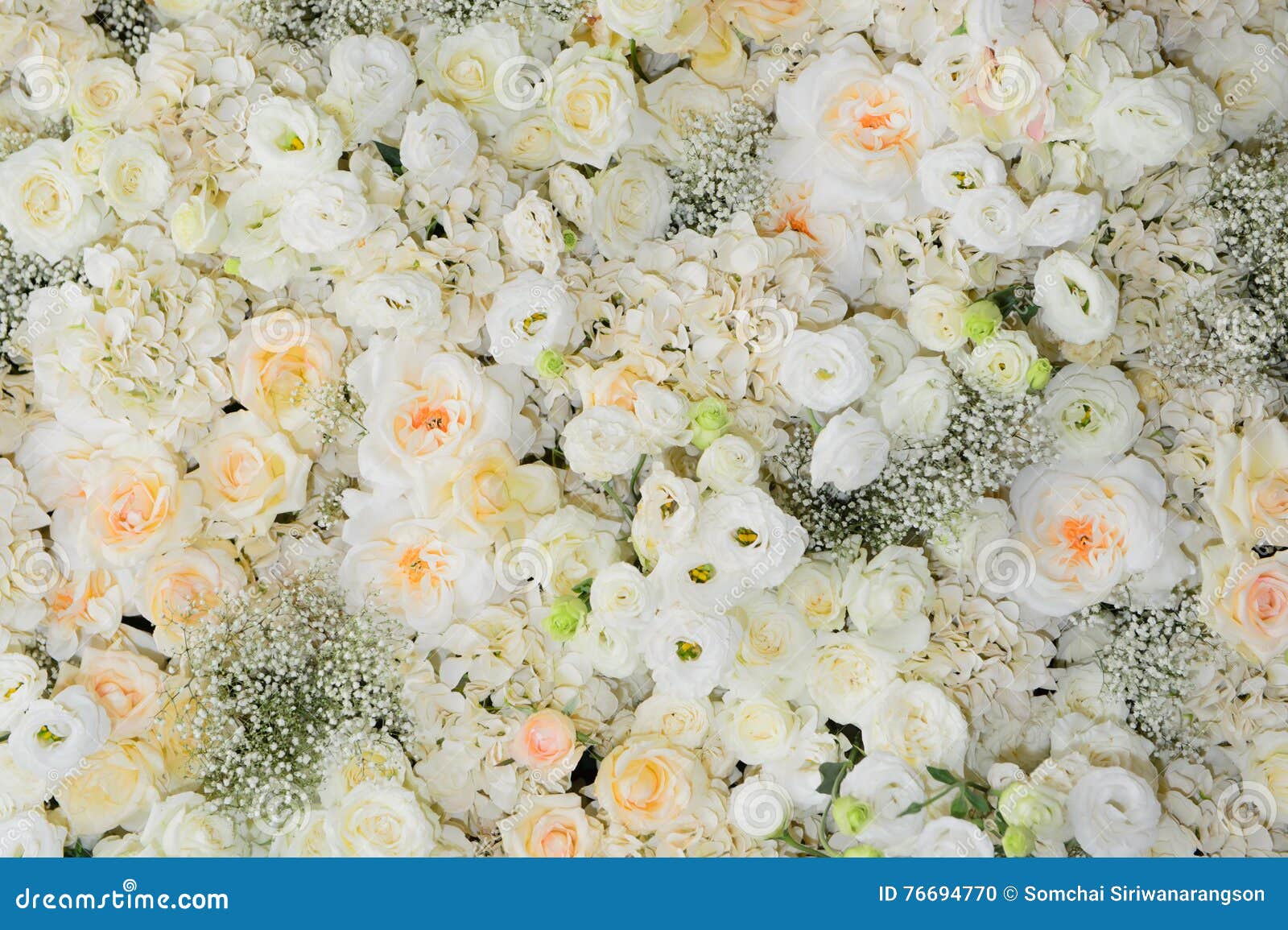 Beautiful Flowers Background for Wedding Stock Photo Image of bouquet