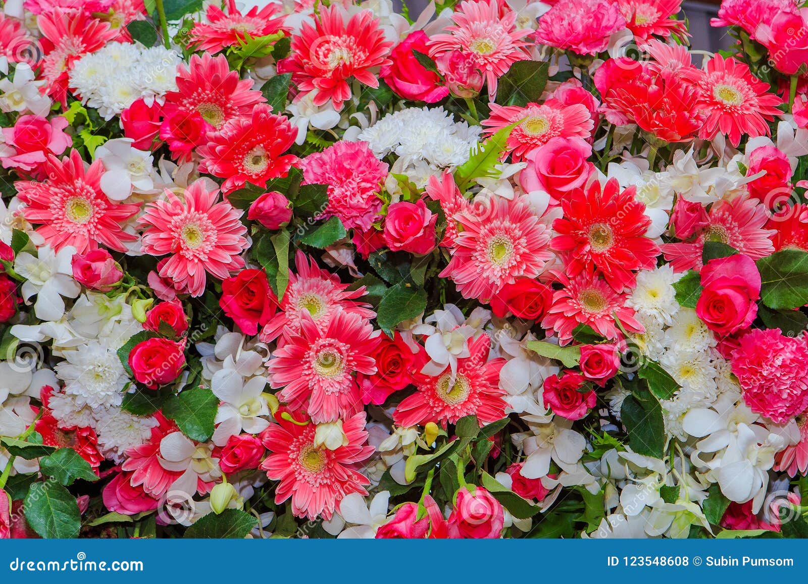 Beautiful Flowers Background for Wedding Scene Stock Photo Image of