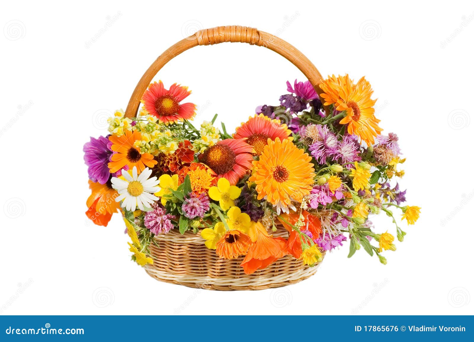 Beautiful Flowers in a Basket Isolated on White Stock Photo Image of
