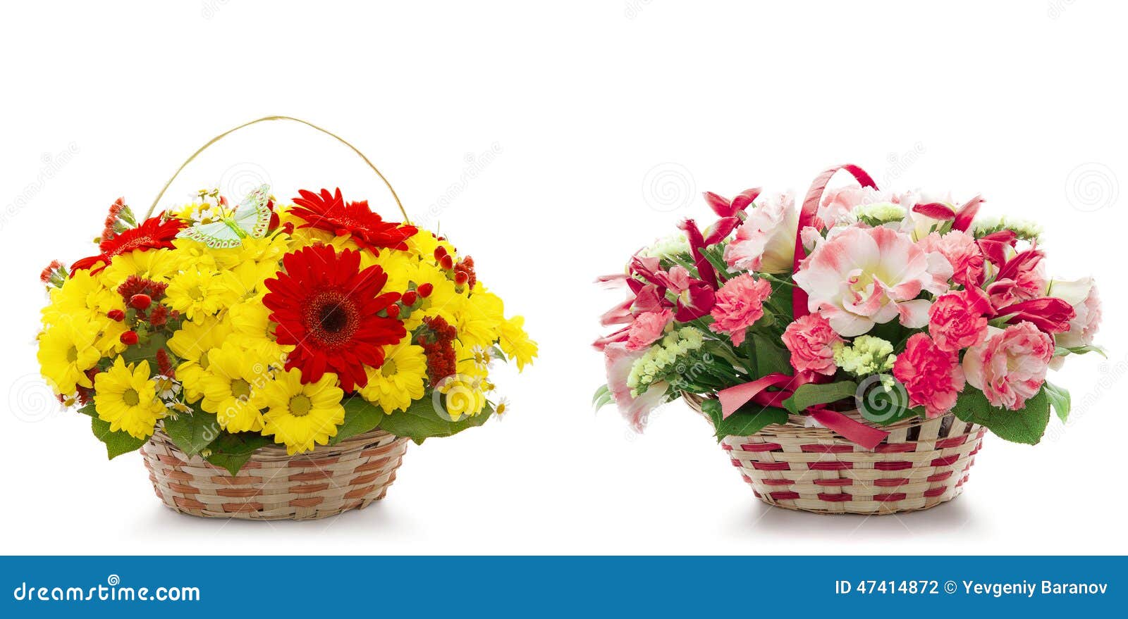 Beautiful Flowers in a Basket Isolated on White Stock Photo Image of