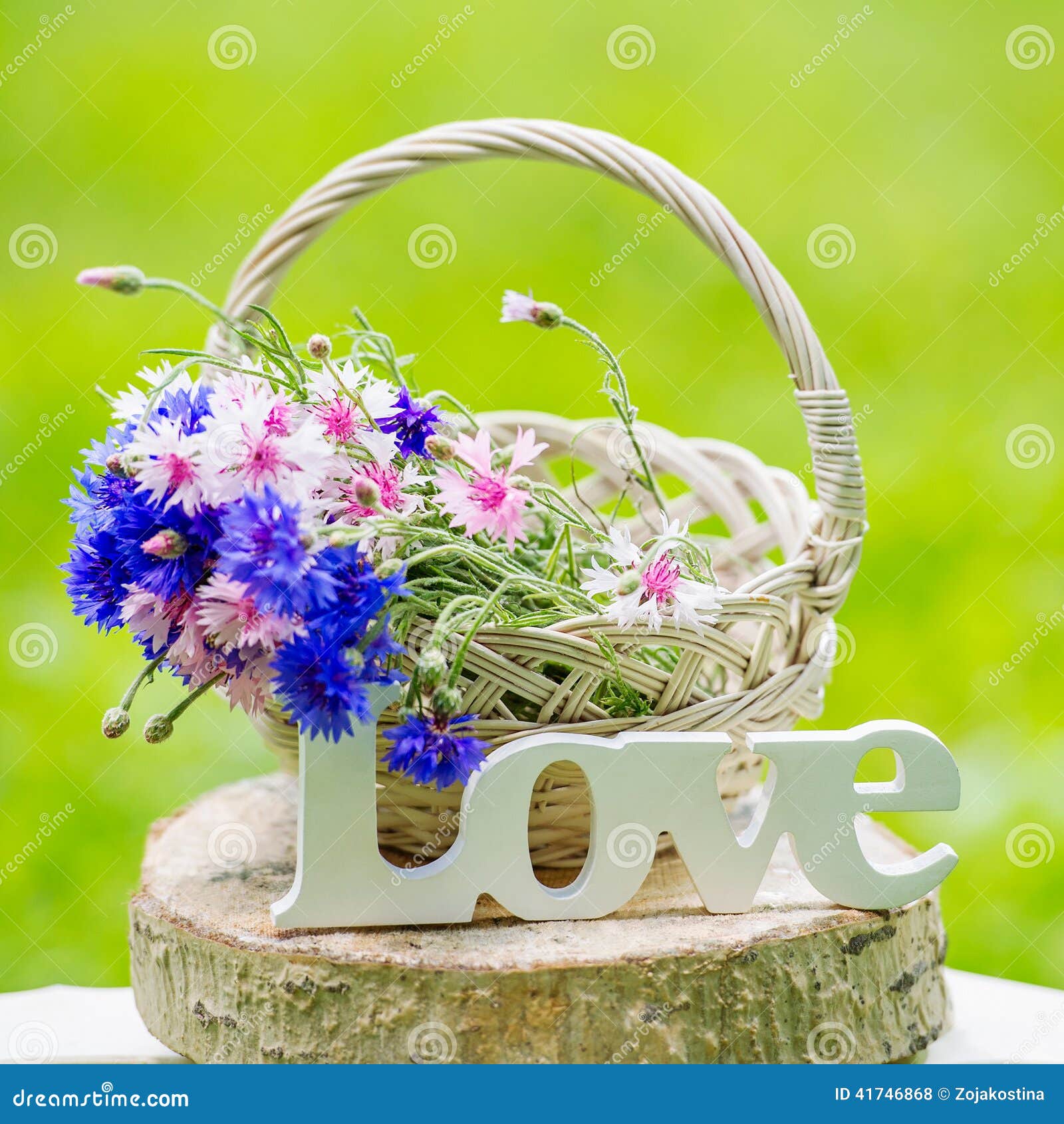 Beautiful Flowers Basket Word Love Stock Photos - Free & Royalty ...