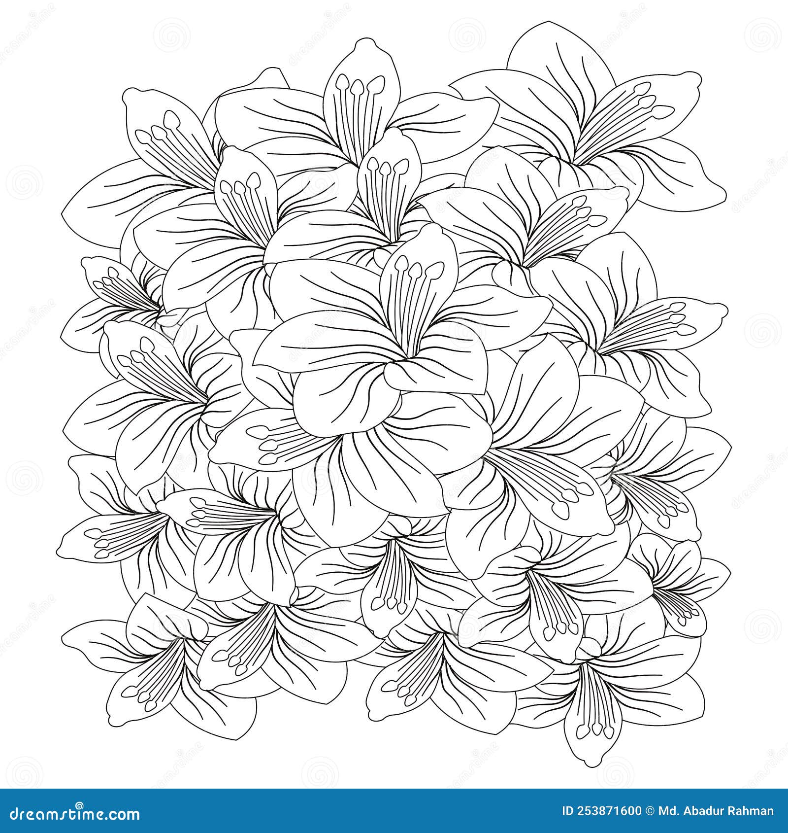 Pencil drawing flowers Black and White Stock Photos & Images - Alamy