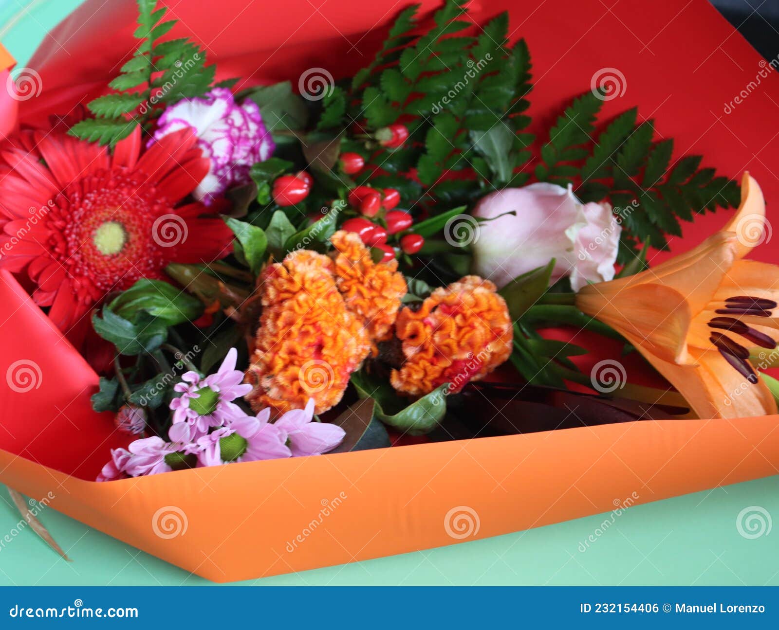 beautiful flowers colors natural smells delicate gift detail
