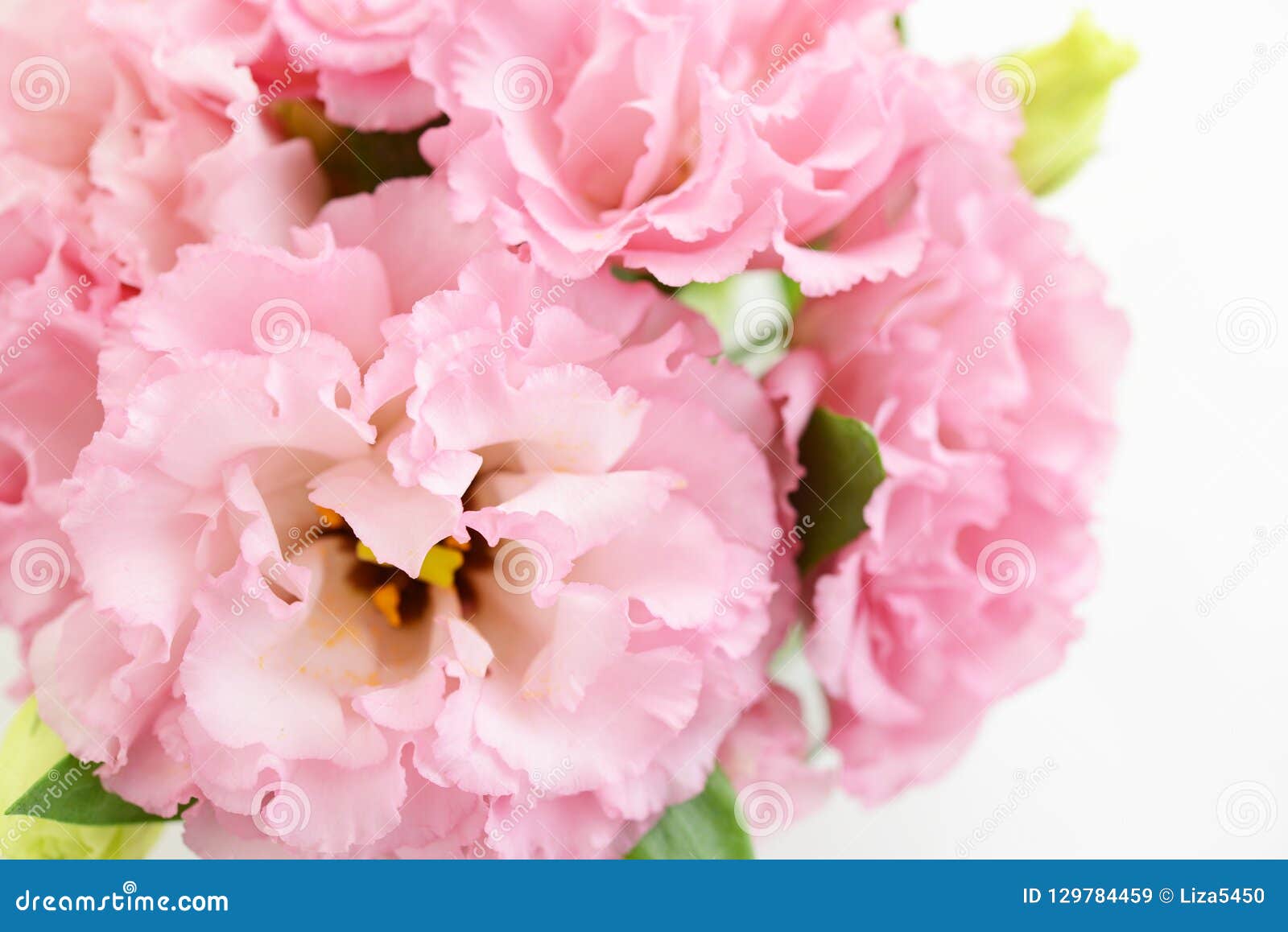 Potn Stock Photos Royalty Free Pictures Potn Stock Photos Royalty Free Pictures