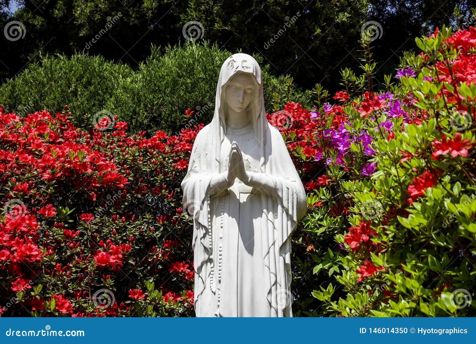 Beautiful Flowers in Full Bloom and Virgin Mary Statue Stock Photo ...