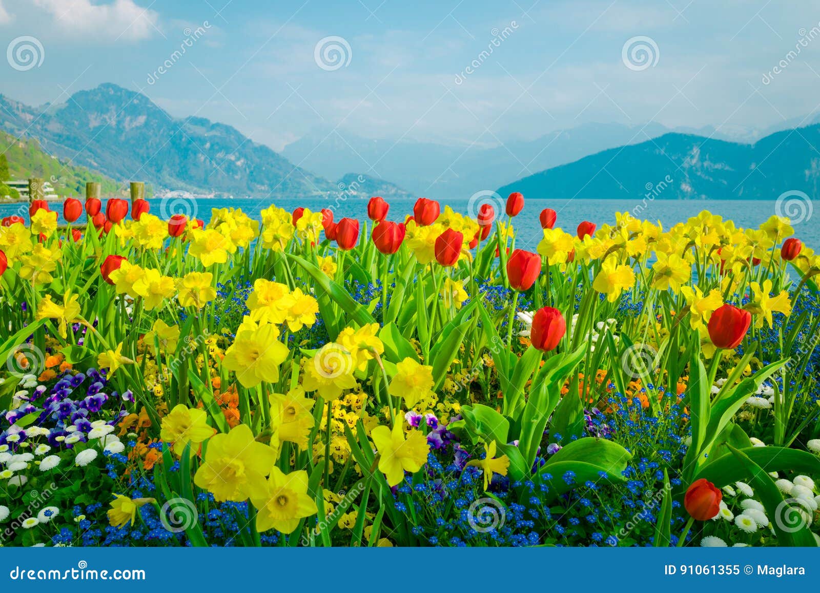 3,272,717 Beautiful Flowers Stock Photos - Free & Royalty-Free ...