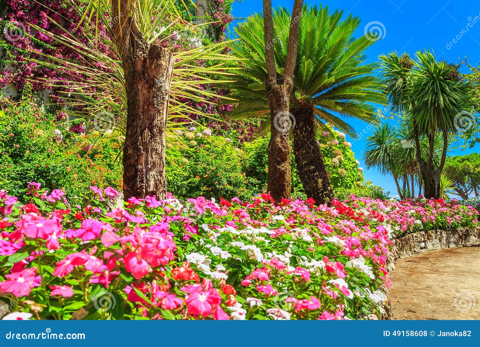 beautiful flowers,plants and trees,rufolo garden,ravello,italy,europe