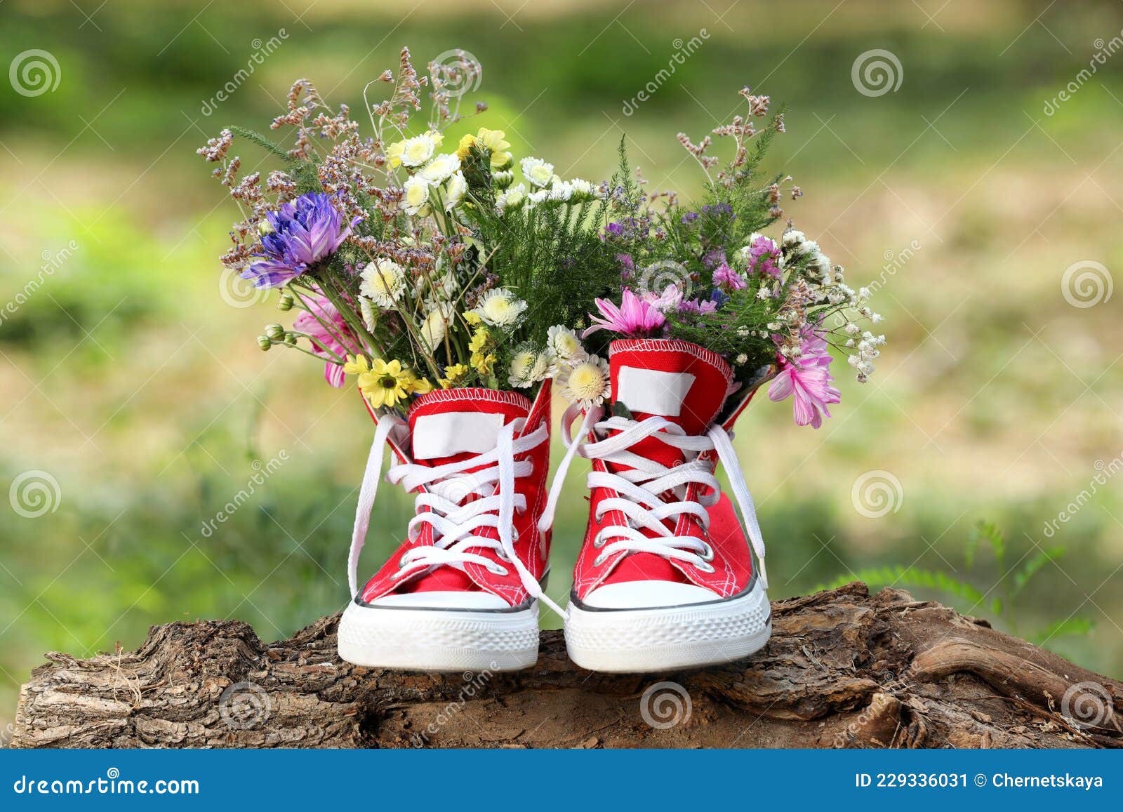 Beautiful Flowers in Shoes on Log Outdoors Stock Image - Image of ...