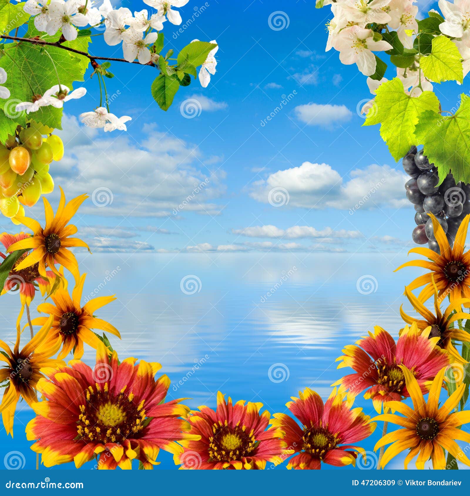 Beautiful Flowers on a Sky Background Stock Image Image of grape