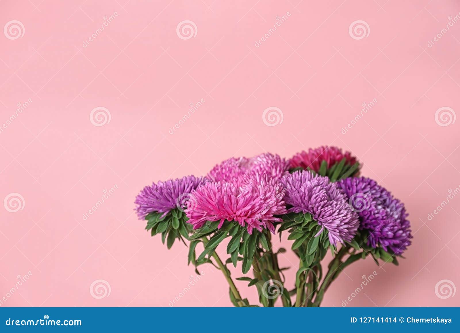 Beautiful Flowers and Space for Text Stock Photo - Image of fresh ...
