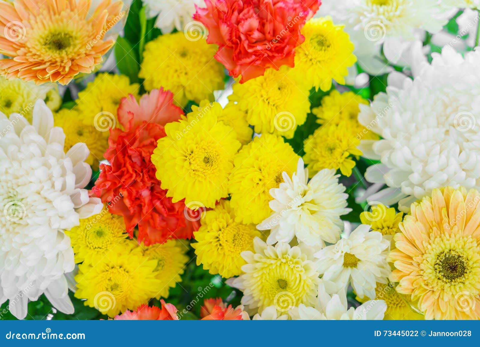 .Beautiful Flowers for Valentines and Wedding Scene Stock Photo - Image ...